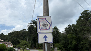 DH Image